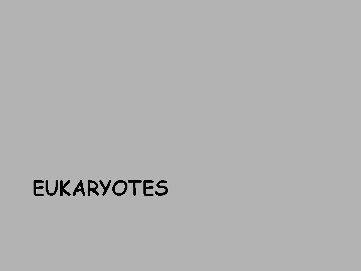 EUKARYOTES 
