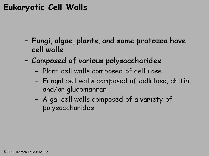 Eukaryotic Cell Walls – Fungi, algae, plants, and some protozoa have cell walls –