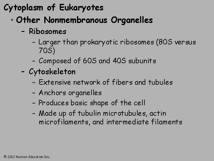 Cytoplasm of Eukaryotes • Other Nonmembranous Organelles – Ribosomes – Larger than prokaryotic ribosomes
