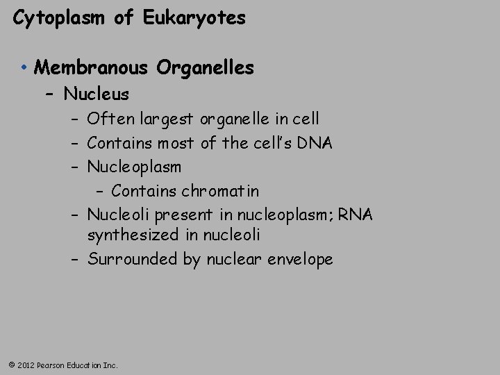 Cytoplasm of Eukaryotes • Membranous Organelles – Nucleus – Often largest organelle in cell