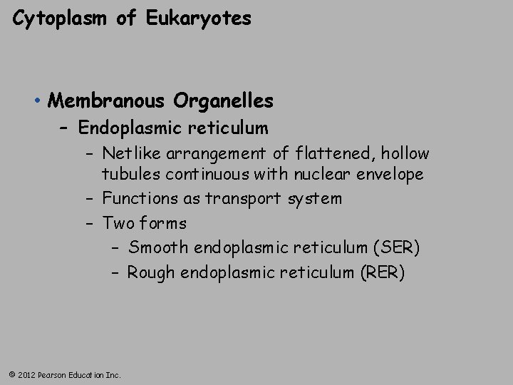 Cytoplasm of Eukaryotes • Membranous Organelles – Endoplasmic reticulum – Netlike arrangement of flattened,