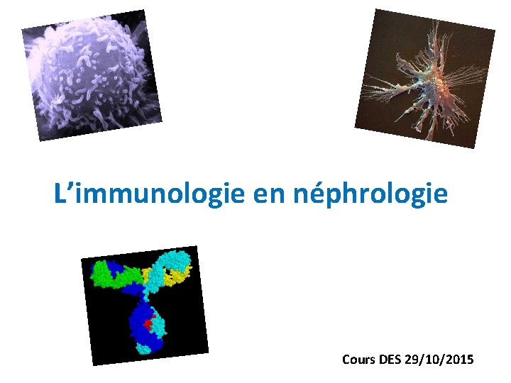 L’immunologie en néphrologie Cours DES 29/10/2015 