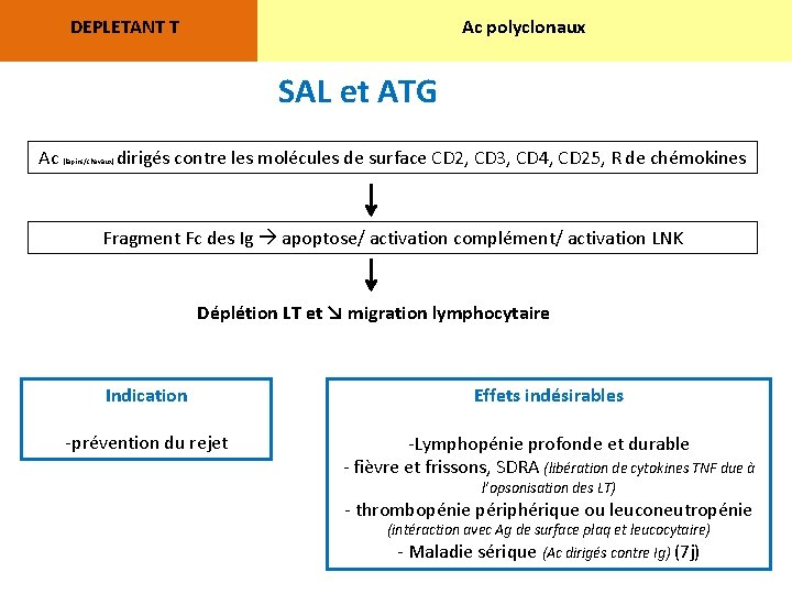 DEPLETANT T Ac polyclonaux SAL et ATG Ac (lapins/chevaux) dirigés contre les molécules de