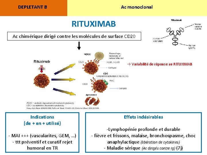 DEPLETANT B Ac monoclonal RITUXIMAB Ac chimérique dirigé contre les molécules de surface CD