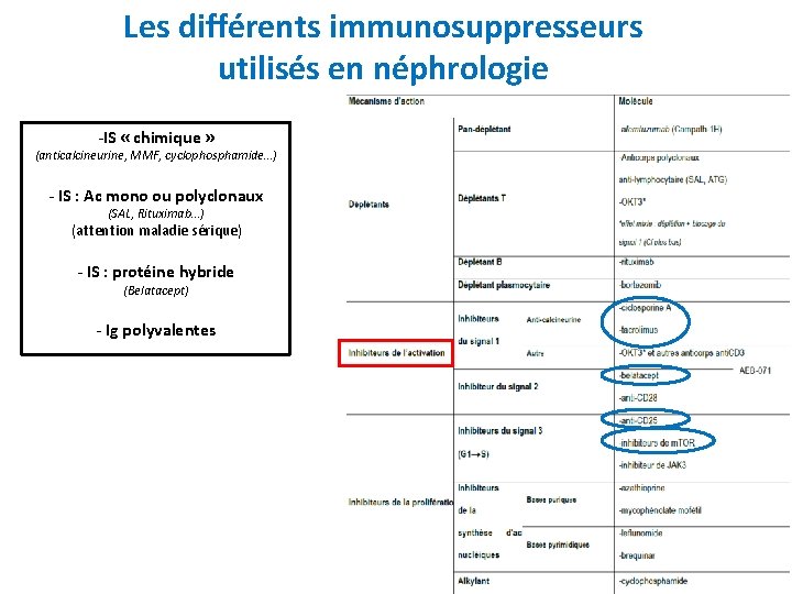Les différents immunosuppresseurs utilisés en néphrologie -IS « chimique » (anticalcineurine, MMF, cyclophosphamide…) -