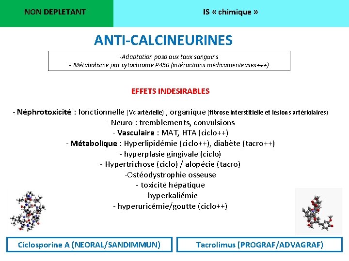 NON DEPLETANT IS « chimique » ANTI-CALCINEURINES -Adaptation poso aux taux sanguins - Métabolisme