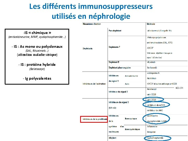 Les différents immunosuppresseurs utilisés en néphrologie -IS « chimique » (anticalcineurine, MMF, cyclophosphamide…) -