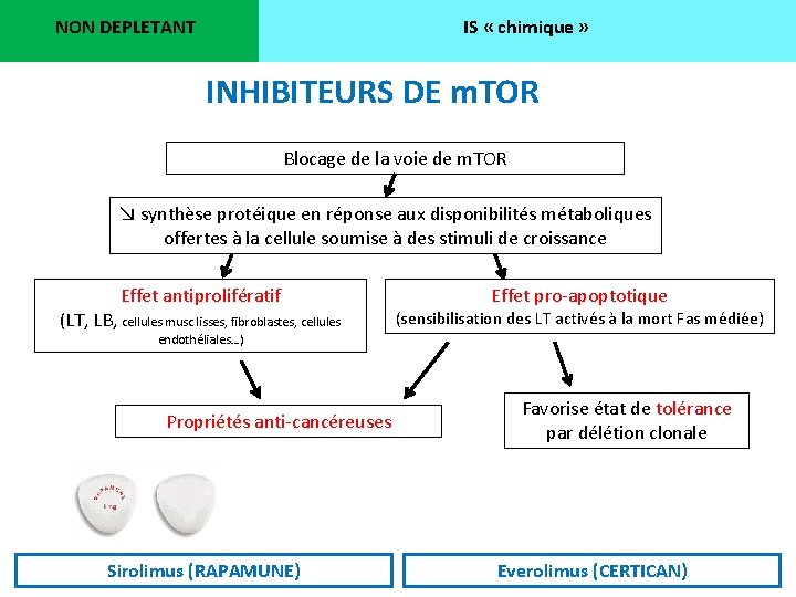 NON DEPLETANT IS « chimique » INHIBITEURS DE m. TOR Blocage de la voie