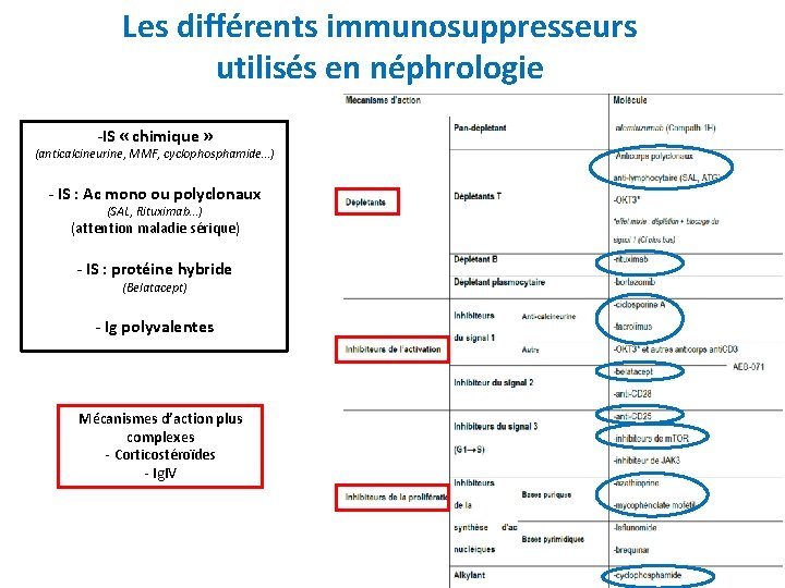 Les différents immunosuppresseurs utilisés en néphrologie -IS « chimique » (anticalcineurine, MMF, cyclophosphamide…) -