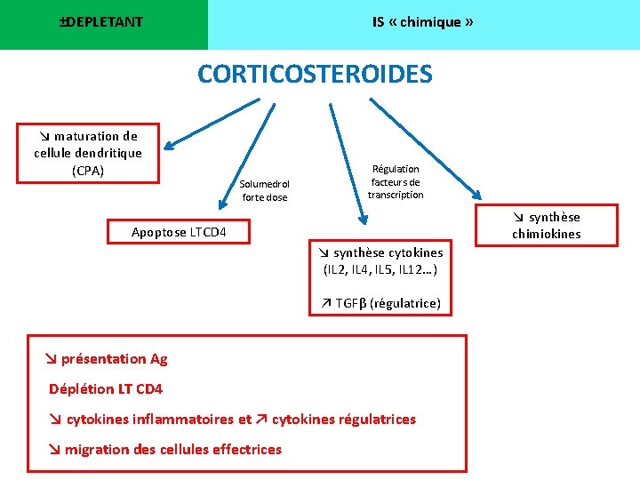 ±DEPLETANT IS « chimique » CORTICOSTEROIDES ↘ maturation de cellule dendritique (CPA) Solumedrol forte