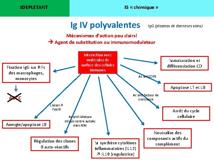 ±DEPLETANT IS « chimique » Ig IV polyvalentes Ig. G (plasmas de donneurs sains)