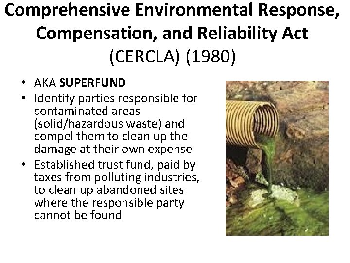 Comprehensive Environmental Response, Compensation, and Reliability Act (CERCLA) (1980) • AKA SUPERFUND • Identify