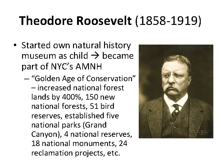 Theodore Roosevelt (1858 -1919) • Started own natural history museum as child became part