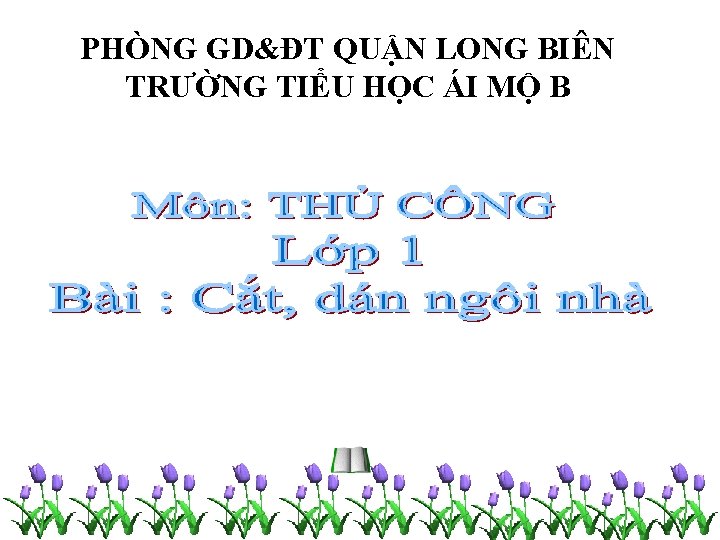 PHÒNG GD&ĐT QUẬN LONG BIÊN TRƯỜNG TIỂU HỌC ÁI MỘ B 