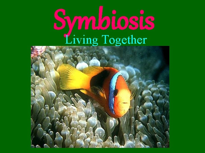 Symbiosis Living Together 