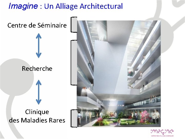 Imagine : Un Alliage Architectural Centre de Séminaire Recherche Clinique des Maladies Rares 