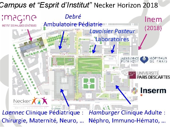 Campus et “Esprit d’Institut” Necker Horizon 2018 Imagine Debré Ambulatoire Pédiatrie Lavoisier Pasteur Laboratoires