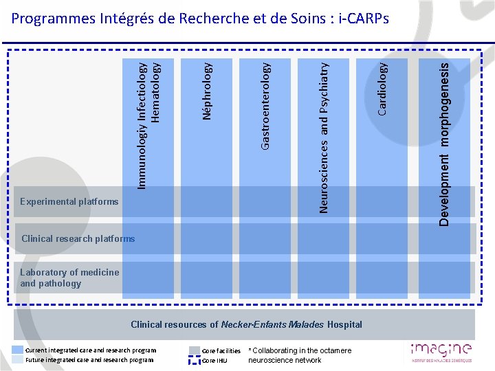 Clinical research platforms Laboratory of medicine and pathology Clinical resources of Necker-Enfants Malades Hospital