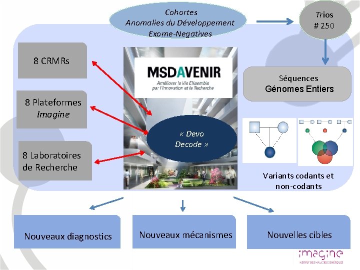  Cohortes Anomalies du Développement Exome-Negatives Trios # 250 8 CRMRs Séquences Génomes Entiers