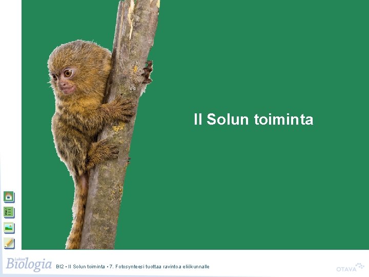Solun toiminta II Solun toiminta BI 2 • II Solun toiminta • 7. Fotosynteesi