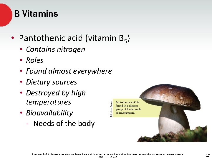 B Vitamins • Pantothenic acid (vitamin B 5) Contains nitrogen Roles Found almost everywhere