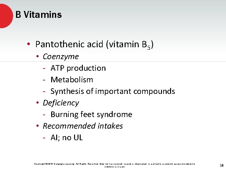 B Vitamins • Pantothenic acid (vitamin B 5) • Coenzyme - ATP production -