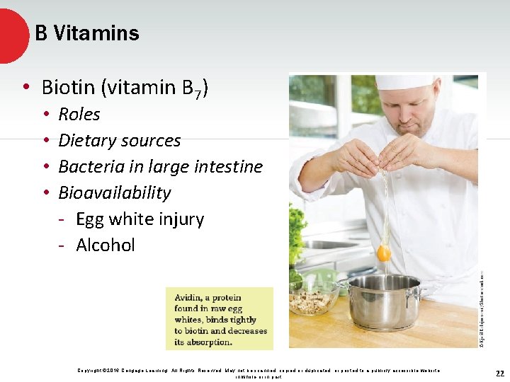 B Vitamins • Biotin (vitamin B 7) • • Roles Dietary sources Bacteria in