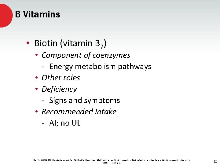 B Vitamins • Biotin (vitamin B 7) • Component of coenzymes - Energy metabolism