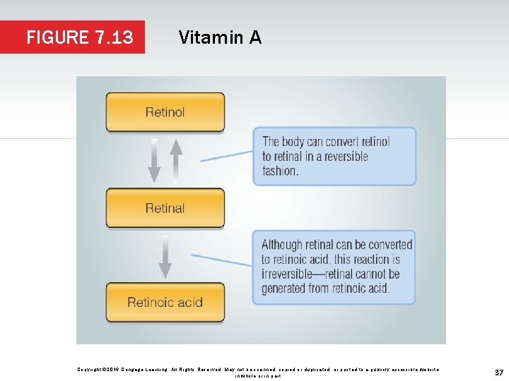 FIGURE 7. 13 Vitamin A Copyright © 2016 Cengage Learning. All Rights Reserved. May