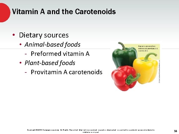 Vitamin A and the Carotenoids • Dietary sources • Animal-based foods - Preformed vitamin