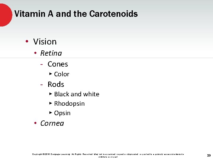 Vitamin A and the Carotenoids • Vision • Retina - Cones ▸ Color -