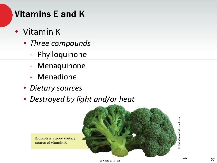 Vitamins E and K • Vitamin K • Three compounds - Phylloquinone - Menadione