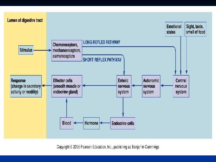 Gastric Juice N Properties P H 0 91