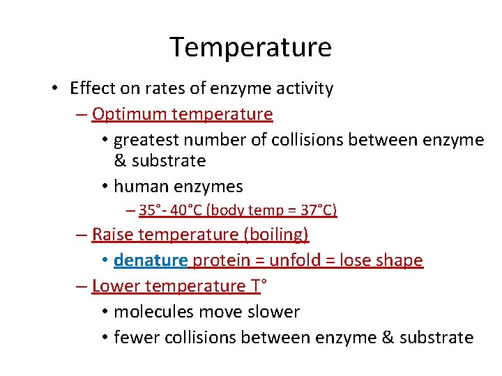 Temperature • Effect on rates of enzyme activity – Optimum temperature • greatest number