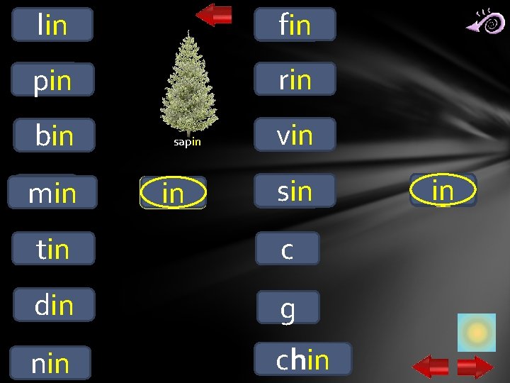 lin l fin f p pin r bin b m min sapin in v lin l fin f p pin r bin b m min sapin in v