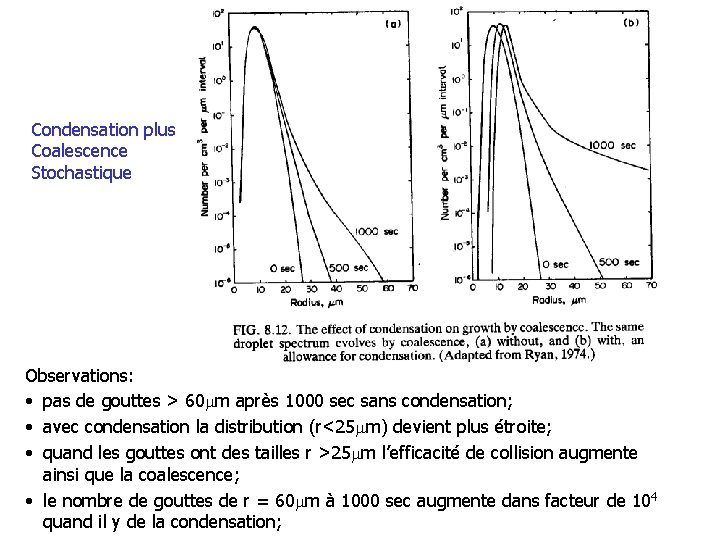 Condensation plus Coalescence Stochastique Observations: • pas de gouttes > 60 m après 1000