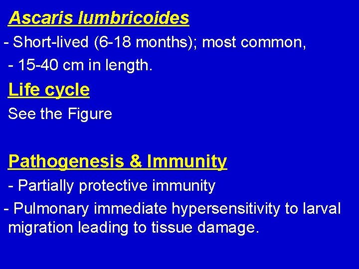 Ascaris lumbricoides - Short-lived (6 -18 months); most common, - 15 -40 cm in