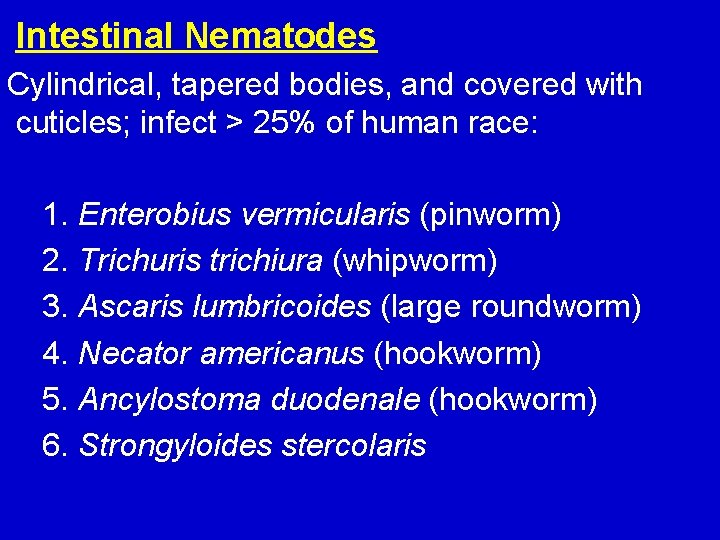 Intestinal Nematodes Cylindrical, tapered bodies, and covered with cuticles; infect > 25% of human