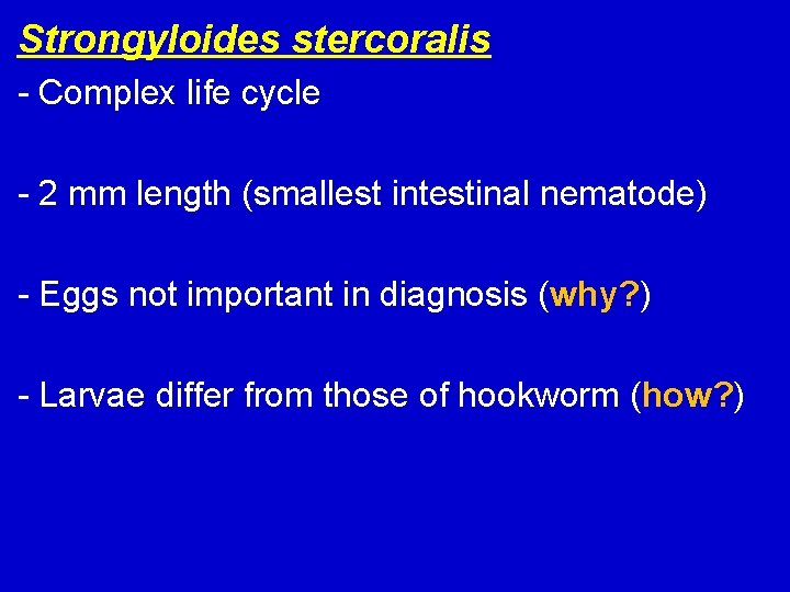 Strongyloides stercoralis - Complex life cycle - 2 mm length (smallest intestinal nematode) -