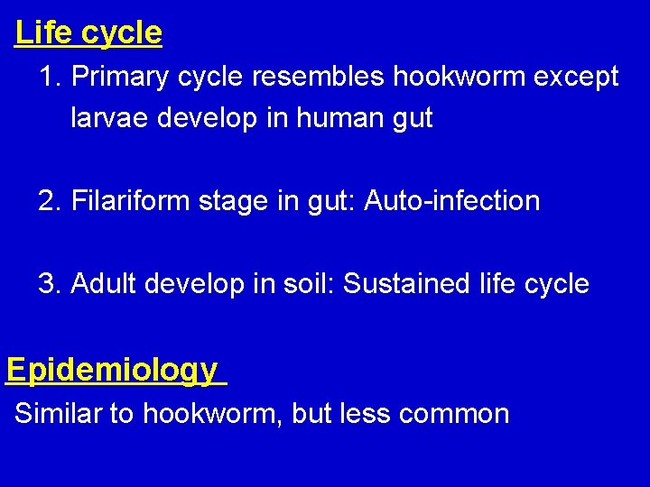 Life cycle 1. Primary cycle resembles hookworm except larvae develop in human gut 2.