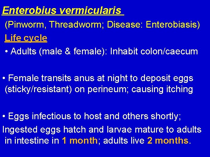 Enterobius vermicularis (Pinworm, Threadworm; Disease: Enterobiasis) Life cycle • Adults (male & female): Inhabit