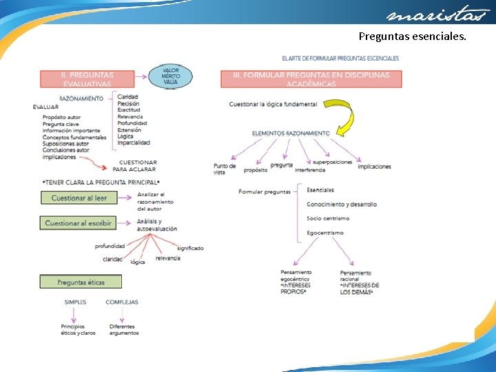 Preguntas esenciales. 