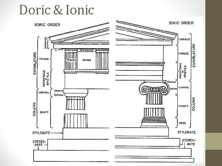 Doric & Ionic Doric & Ionic