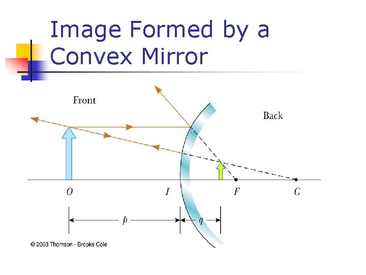 Image Formed by a Convex Mirror 