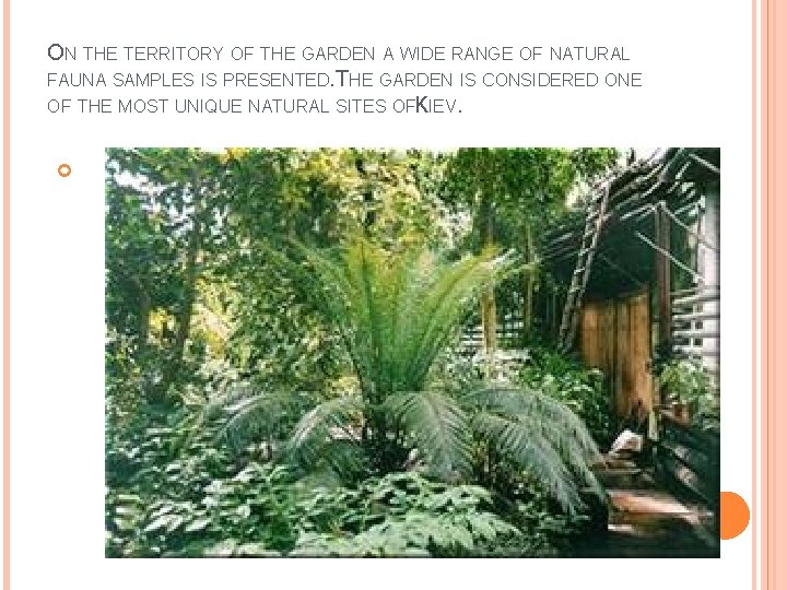 ON THE TERRITORY OF THE GARDEN A WIDE RANGE OF NATURAL FAUNA SAMPLES IS