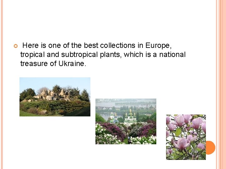  Here is one of the best collections in Europe, tropical and subtropical plants,