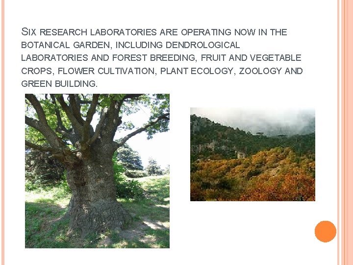 SIX RESEARCH LABORATORIES ARE OPERATING NOW IN THE BOTANICAL GARDEN, INCLUDING DENDROLOGICAL LABORATORIES AND