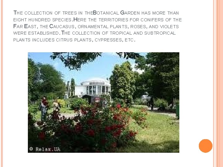 THE COLLECTION OF TREES IN THEB OTANICAL GARDEN HAS MORE THAN EIGHT HUNDRED SPECIES.