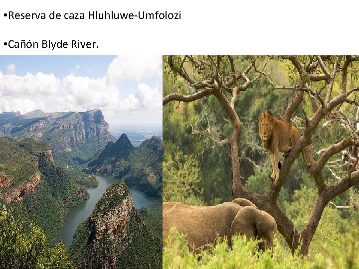  • Reserva de caza Hluhluwe-Umfolozi • Cañón Blyde River. 