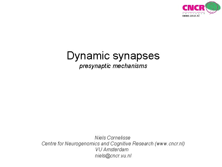 www. cncr. nl Dynamic synapses presynaptic mechanisms Niels Cornelisse Centre for Neurogenomics and Cognitive
